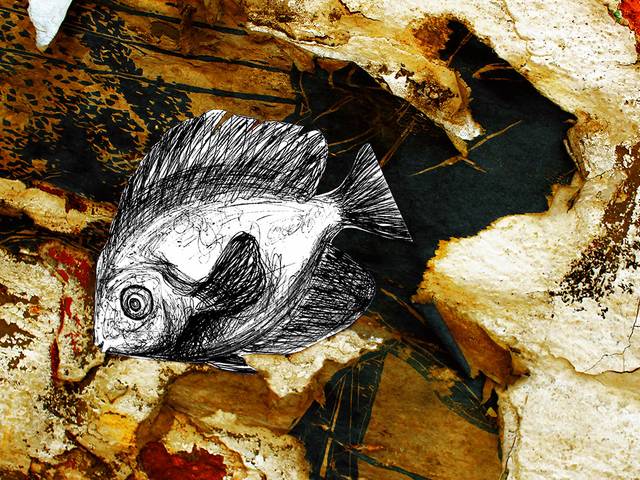 Fotografia Autoral Fineart de Série 