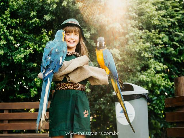 Festa Infantil de Safari da Julia | 9 anos