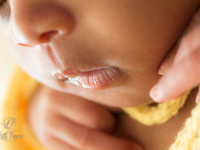 Newborn de Liz