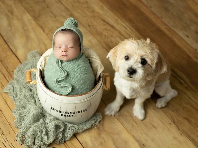 Newborn de Bernardo, 16 dias