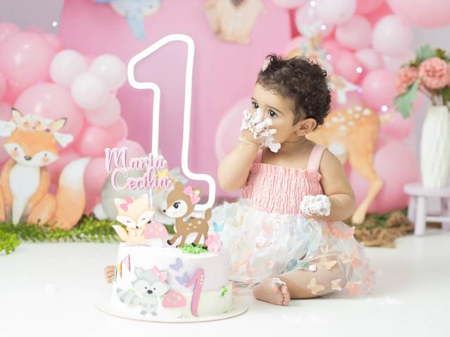 Smash the cake de Maria Cecília, 1 aninho