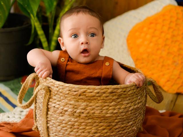 Infantil de Noah 