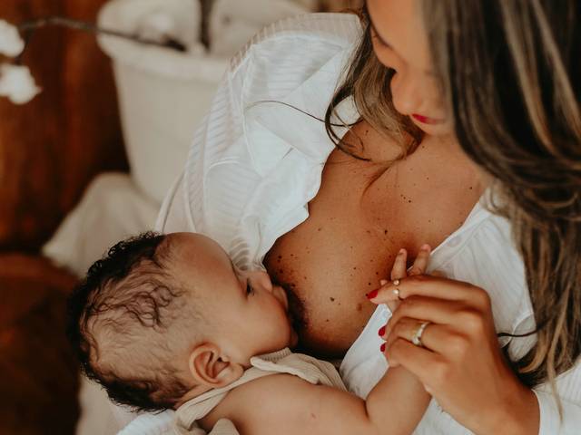 Família de Laços de Amor - Bia e Theo 