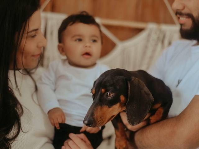 Família de Bento e família