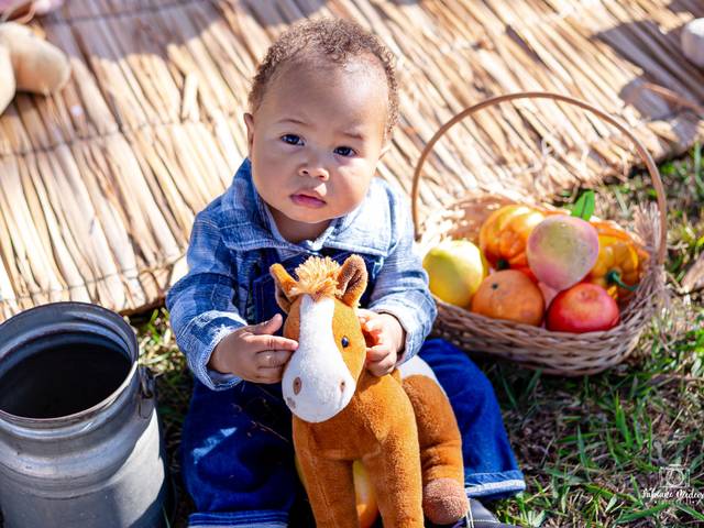 Smash the cake ou fruit de Festa na fazendinha do Bernardo ❤️