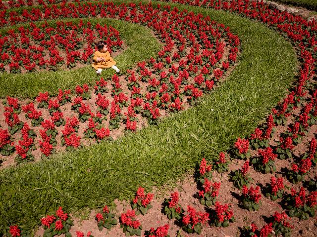 Família de A família da Celine