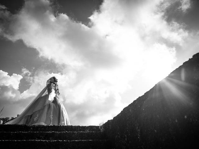 Ensaio de A debutante Sophia