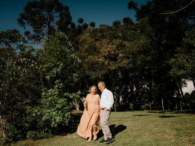 Família de Família Schein