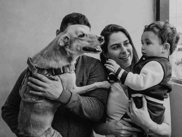 Estúdio de A família do Dante