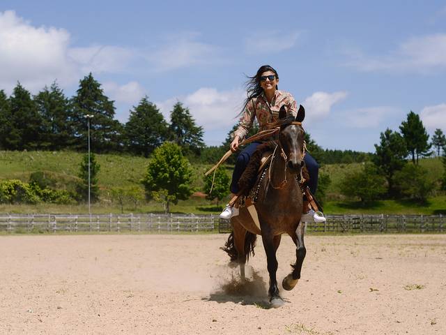 Ensaio de Emília Cardoso