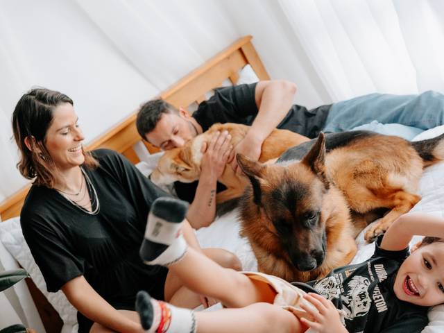 Estúdio de A família do Dante