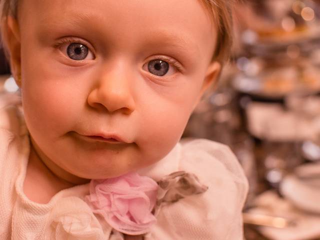 Aniversário Infantil de Giovanna Laux Schwengber