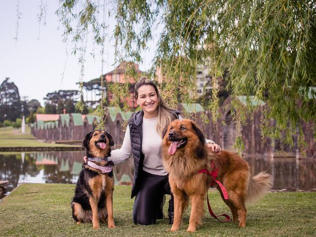 Ensaio de Uma surpresa canina