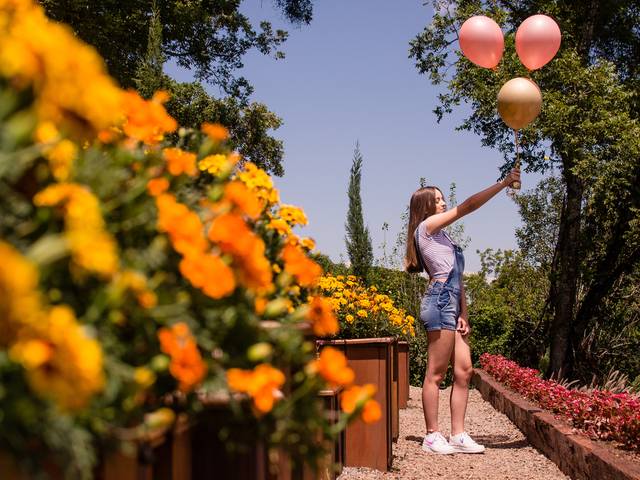 Ensaio de Laura vai fazer 15