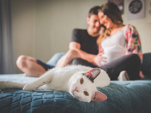 Ensaio Gestante de Á Espera por Cecília