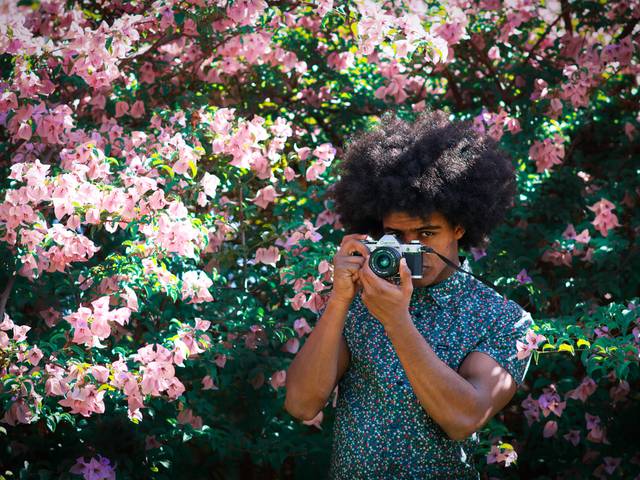 Ensaios de Entre forças e beleza