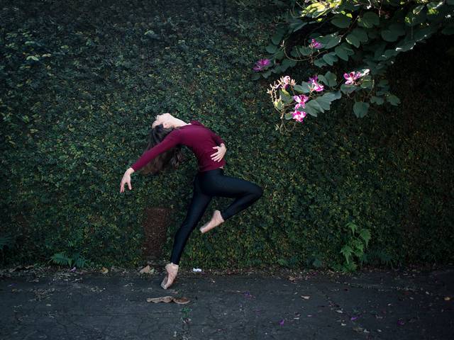 Free Your Soul de Fys Carolina Paes de Barros