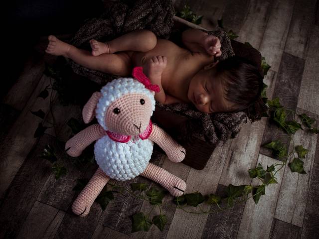 Ensaios de Maria Tereza