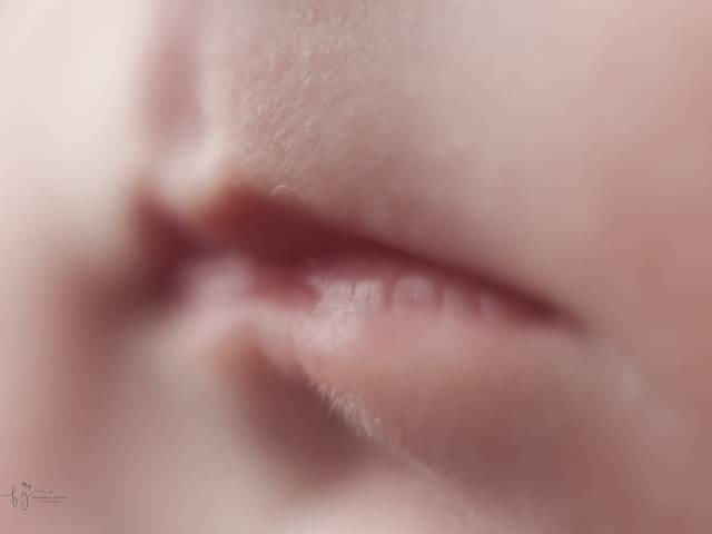 NEWBORN de Newborn - Leonardo 