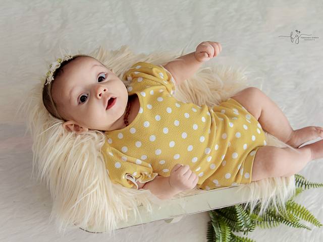 ACOMPANHAMENTO de Liz - 3 meses 