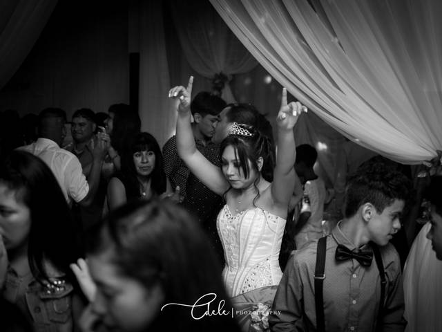 Quince años de Barbie XV