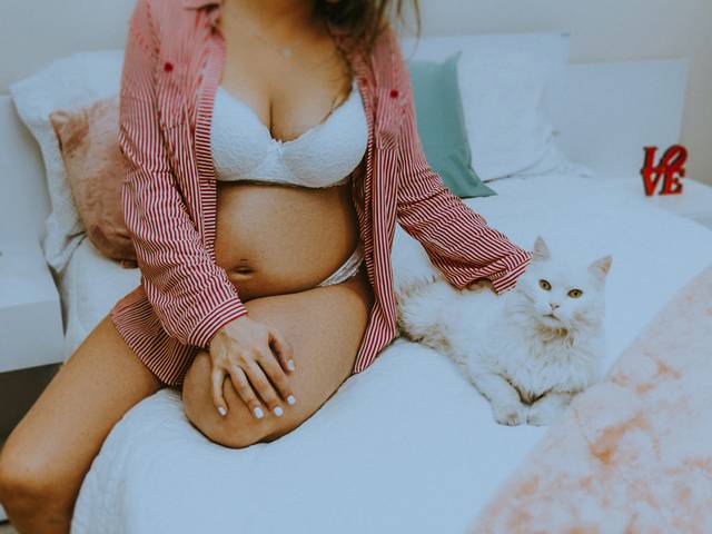 Gestante de Três corações: 1 batida
