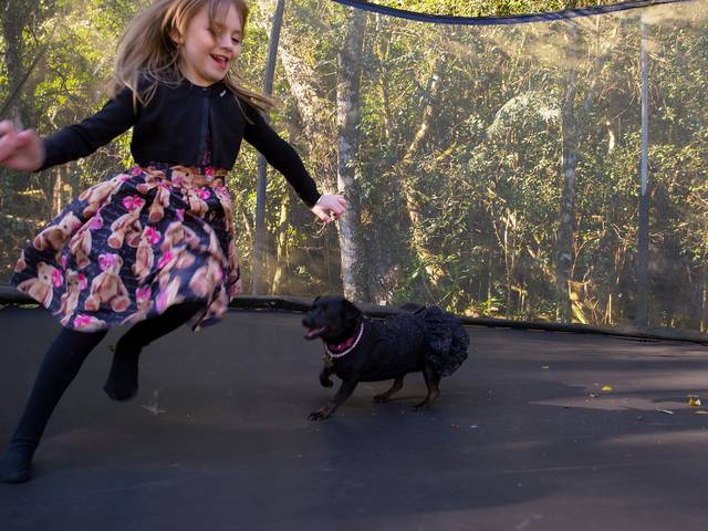 Aniversários de 6 Anos Lívia