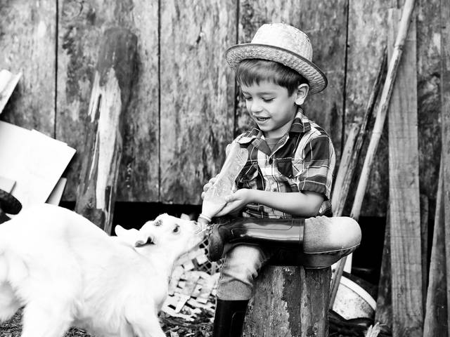 Ensaio Infantil de Samuel Ritter