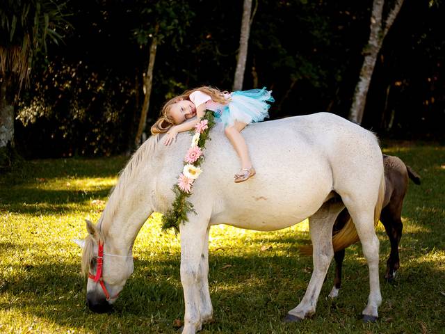 Ensaio Infantil de Alice 6 Anos