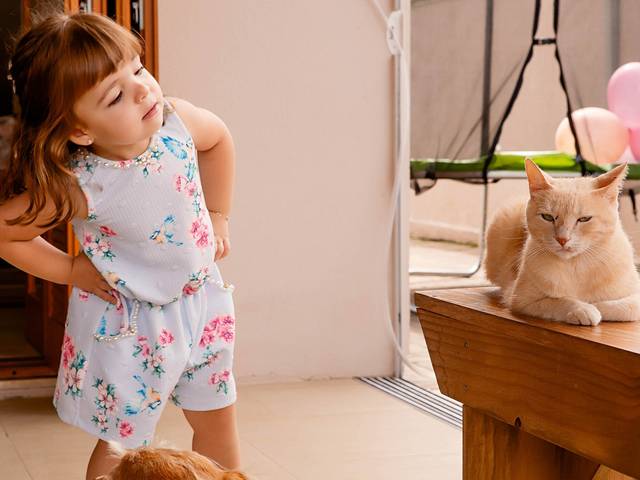 Aniversários de 3 Anos Melissa