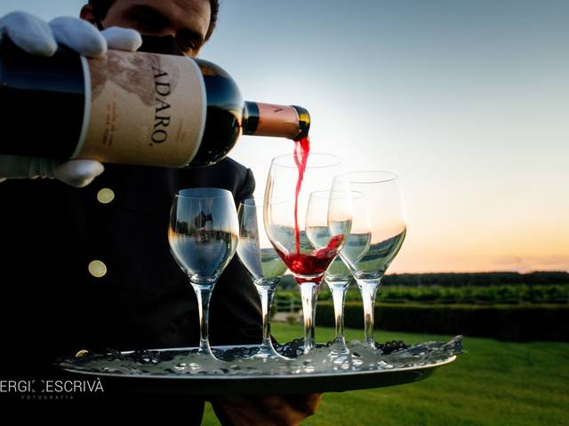 Bodas de Ana + Fernando. Una boda entre viñedos