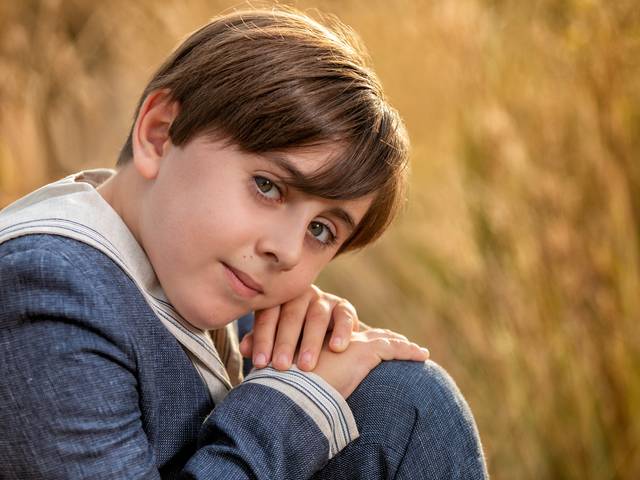 Estudios y Reportajes de Daniel Grau Llopis