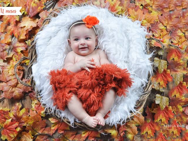 Acompanhamento de Amanda