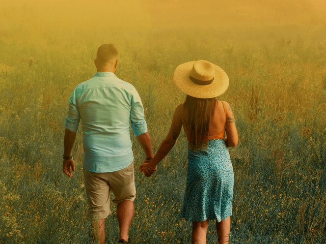 Portrait de The Field