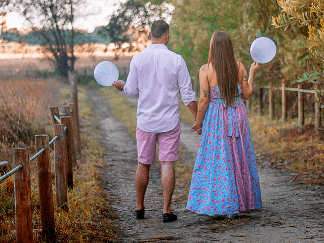 Portrait de The Same Path