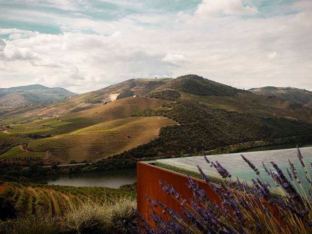 Portrait de ventozelo