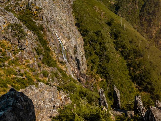 Portrait de StarFest 2025