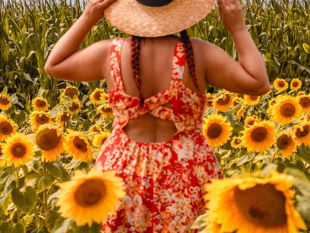 Portrait de campo girassóis