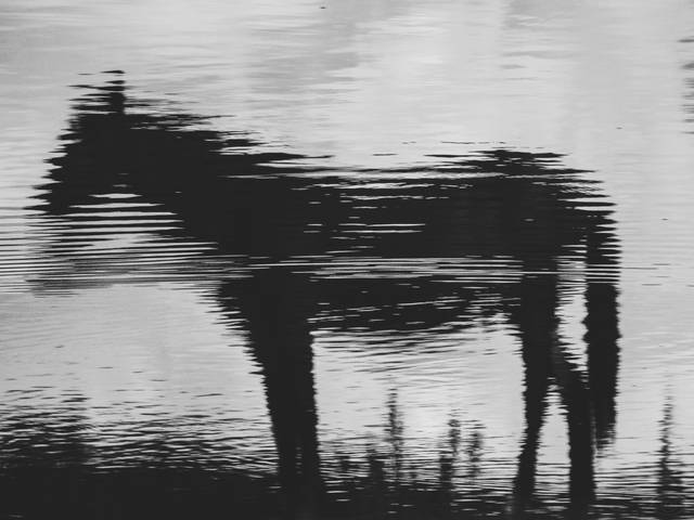 Abstrato de Abstrato