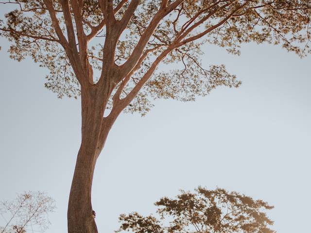 Ensaio Gestante  de Ensaio Gestante | Mack e Tiago esperam Joaquim