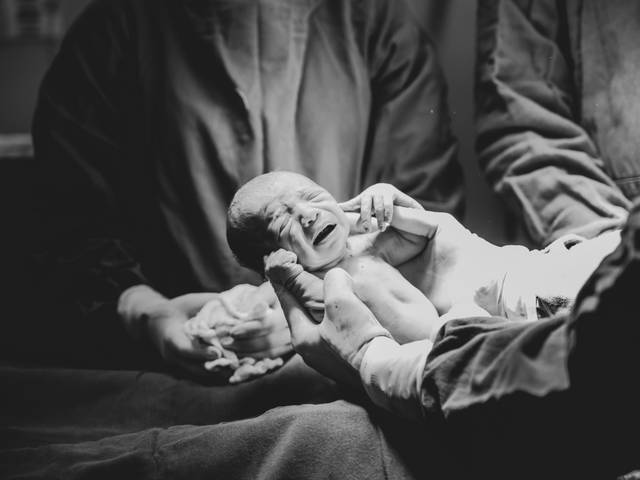 Parto de Parto Acácia