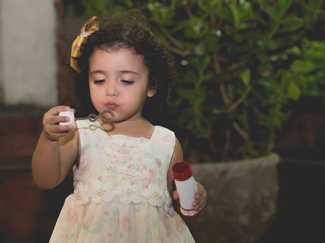 Aniversário Infantil de Luara - 2 Anos