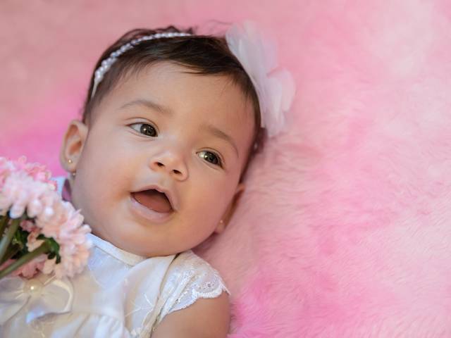 Acompanhamento de Família de Emily