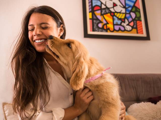 ENSAIO de Aurora - Ensaio PET