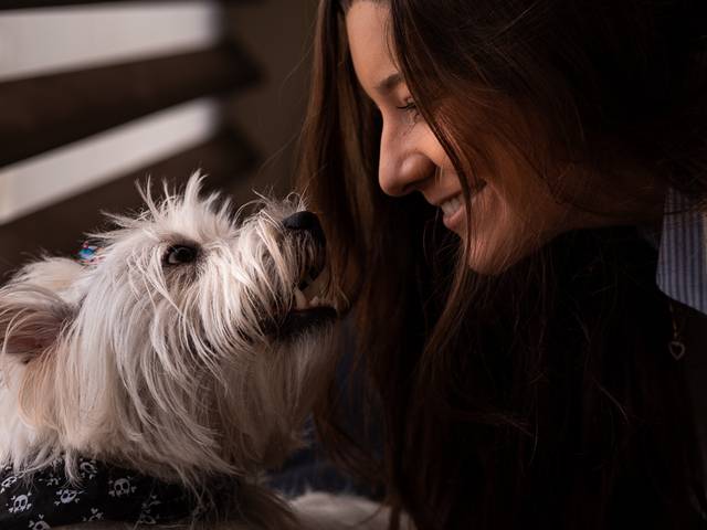 Ensaio PET de Amora & Pig - ENSAIO PET