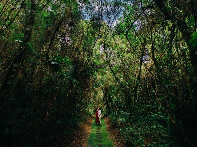 Ensaio de Gabriela e Felipe
