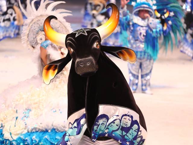 AMAZÔNIA de FESTIVAL DE PARINTINS