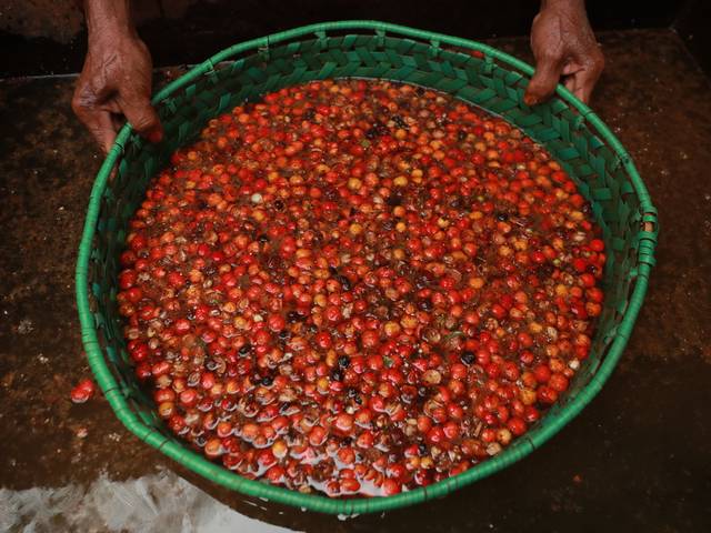 DOCUMENTAL de MAUÉS - A TERRA DO GUÁRANA 