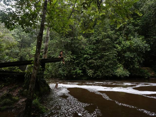 AMAZÔNIA de Presidente Figueiredo 