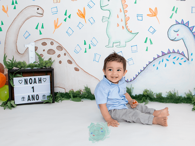 Smash the Cake de Ensaio Smash the Cake - Noah 